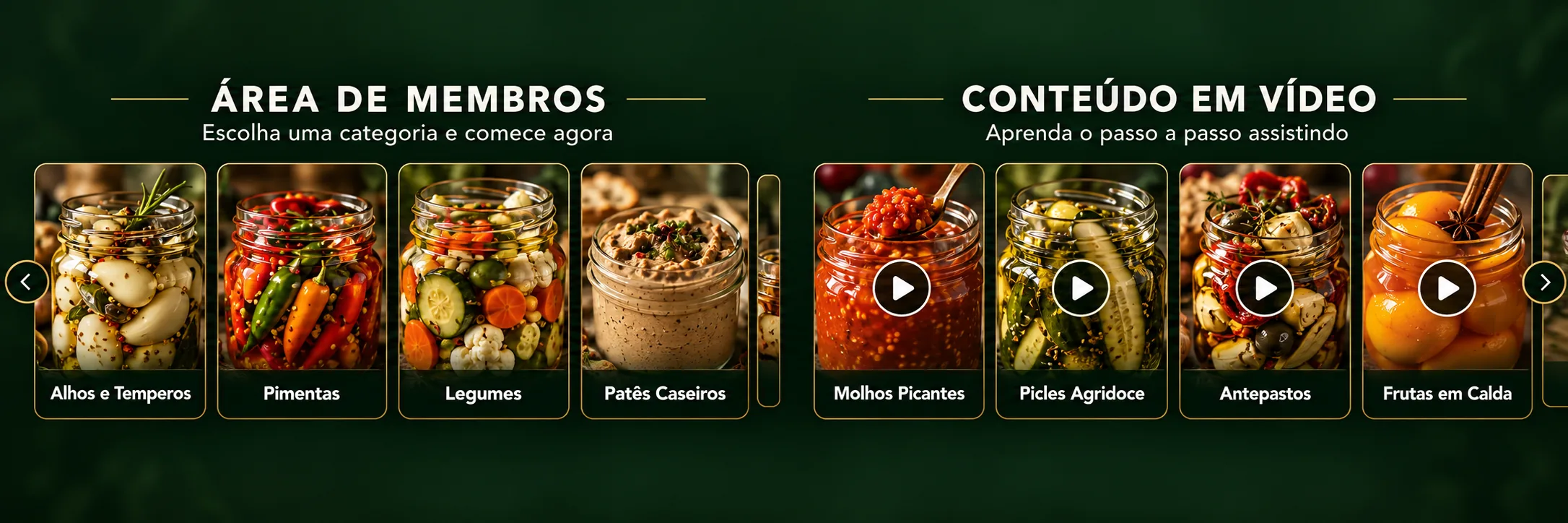 Área de membros e conteúdo em vídeo — escolha uma categoria e comece agora